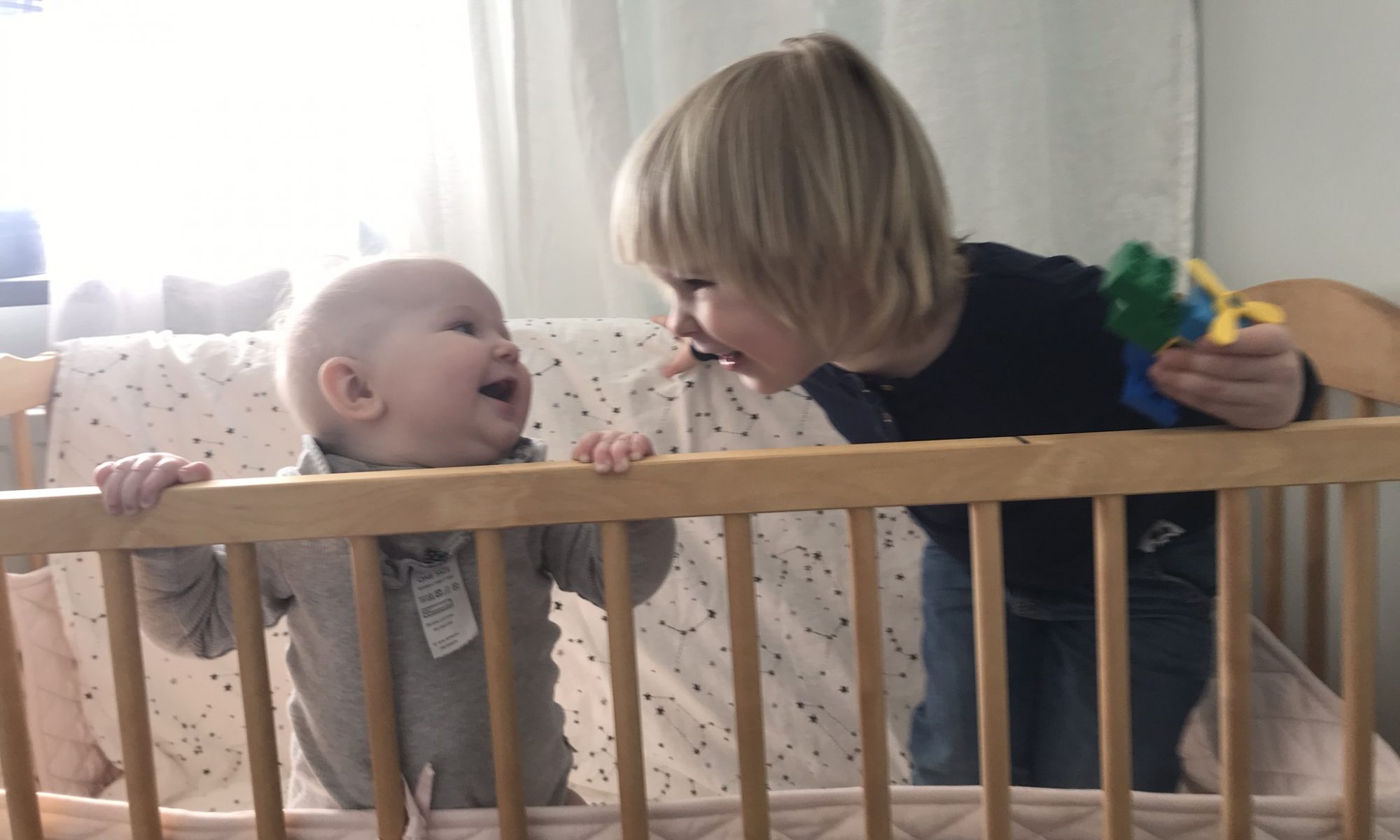 Bengtsgård-Hernvallska hushållets öden och äventyr